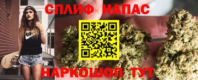 каннабис Будённовск